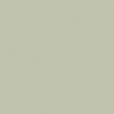 Corian Seagrass Placa Solid Surface