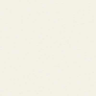 Corian Cameo White Placa Solid Surface