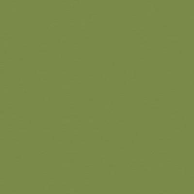 Corian Blooming Green Placa Solid Surface